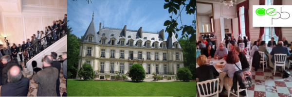 Business Dating Interclub